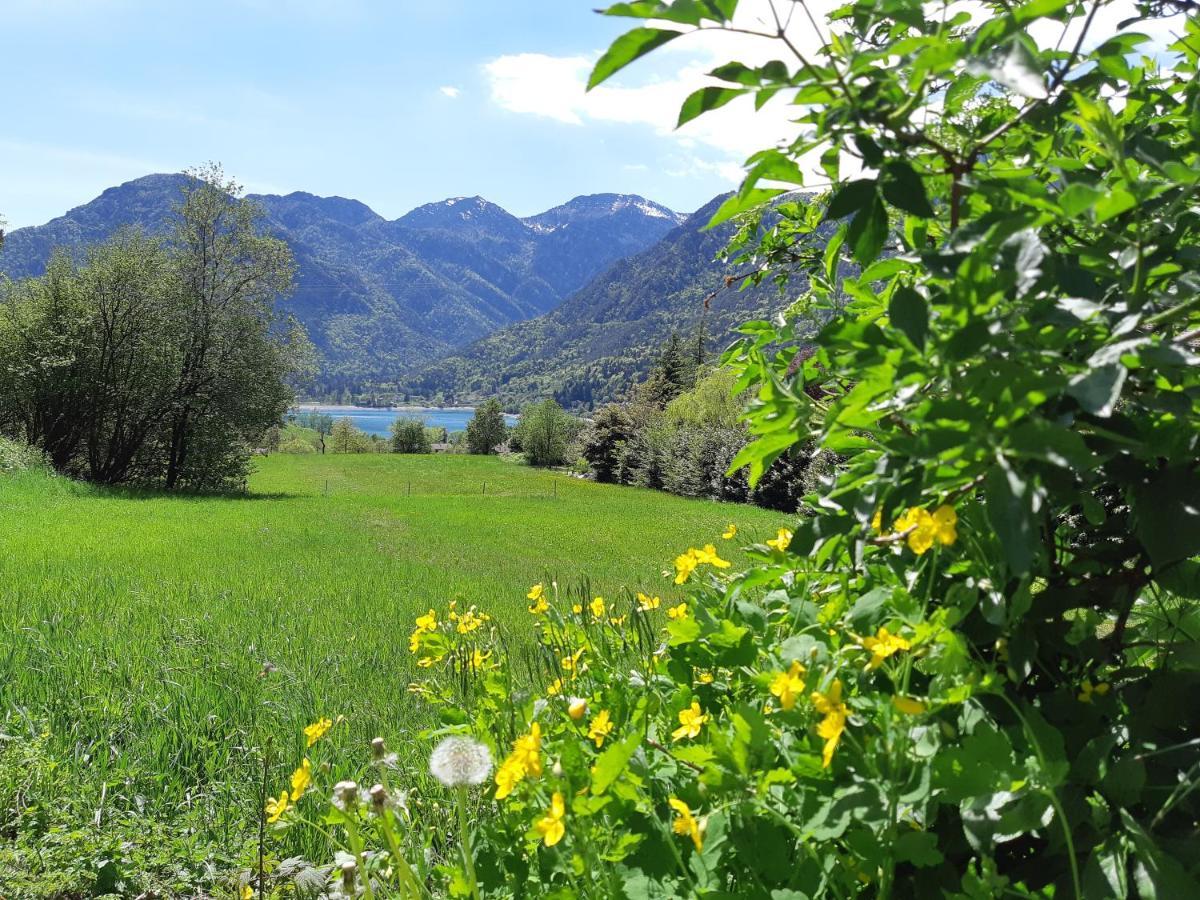 Ledro Nest Daire Mezzolago Dış mekan fotoğraf